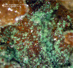 Odenwald Mineralien Reichenbach Borstein Duftit
