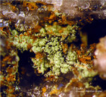 Odenwald Mineralien Reichenbach Borstein Duftit