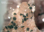 Odenwald Mineralien Reichenbach Borstein Goethit