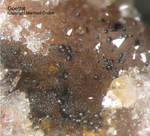 Odenwald Mineralien Reichenbach Borstein Goethit