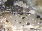Odenwald Mineralien Reichenbach Borstein Goethit