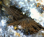 Odenwald Mineralien Reichenbach Borstein Goethit