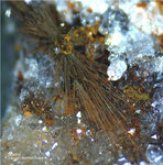Odenwald Mineralien Reichenbach Borstein Goethit