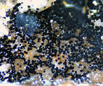 Odenwald Mineralien Reichenbach Borstein Goethit