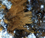Odenwald Mineralien Reichenbach Borstein Goethit