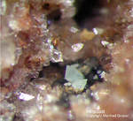 Odenwald Reichenbach Mineralien Borstein Hinsdalit