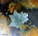 Odenwald Reichenbach Mineralien Borstein Hinsdalit