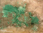 Odenwald Mineralien Reichenbach Borstein Malachit