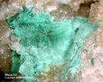 Odenwald Mineralien Reichenbach Borstein Malachit
