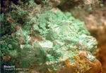 Odenwald Mineralien Reichenbach Borstein Malachit
