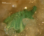 Odenwald Mineralien Reichenbach Borstein Malachit