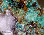 Odenwald Mineralien Reichenbach Borstein Malachit