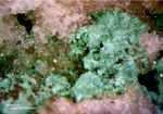 Odenwald Mineralien Reichenbach Borstein Malachit