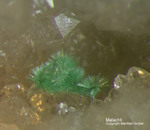 Odenwald Mineralien Reichenbach Borstein Malachit