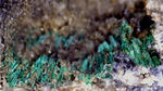 Odenwald Mineralien Reichenbach Borstein Malachit