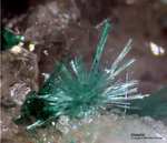Odenwald Mineralien Reichenbach Borstein Malachit