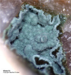 Odenwald Mineralien Reichenbach Borstein Malachit