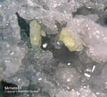 Odenwald Mineralien Reichenbach Borstein Mimetesit