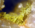 Odenwald Mineralien Reichenbach Borstein Mimetesit