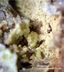 Odenwald Mineralien Reichenbach Borstein Mimetesit