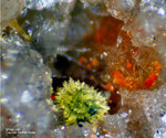 Odenwald Mineralien Reichenbach Borstein Mimetesit