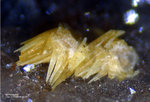 Odenwald Mineralien Reichenbach Borstein Mimetesit