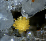 Odenwald Mineralien Reichenbach Borstein Mimetesit