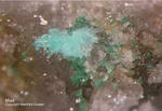 Odenwald Reichenbach Mineralien Borstein Mixit