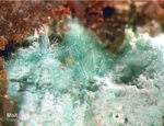 Odenwald Reichenbach Mineralien Borstein Mixit