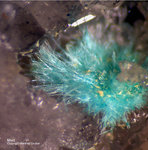 Odenwald Reichenbach Mineralien Borstein Mixit