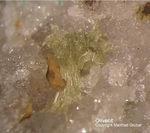 Odenwald Reichenbach Mineralien Borstein Olivenit
