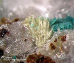 Odenwald Reichenbach Mineralien Borstein Olivenit