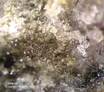 Odenwald Reichenbach Mineralien Borstein Olivenit