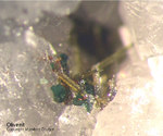 Odenwald Reichenbach Mineralien Borstein Olivenit