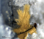 Odenwald Reichenbach Mineralien Borstein Olivenit
