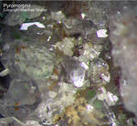 Odenwald Mineralien Reichenbach Borstein Pyromorphit