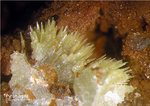 Odenwald Mineralien Reichenbach Borstein Pyromorphit