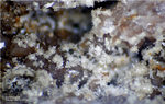 Odenwald Mineralien Reichenbach Borstein Pyromorphit