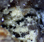 Odenwald Mineralien Reichenbach Borstein Pyromorphit