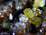 Odenwald Mineralien Reichenbach Borstein Pyromorphit