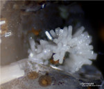 Odenwald Mineralien Reichenbach Borstein Pyromorphit