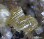 Odenwald Mineralien Reichenbach Borstein Pyromorphit