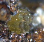 Odenwald Mineralien Reichenbach Borstein Pyromorphit
