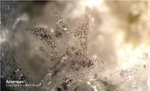 Mineralien Odenwald Erlenbach Arsenkies