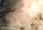 Mineralien Odenwald Erlenbach Arsenkies