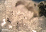 Mineralien Odenwald Erlenbach Arsenkies