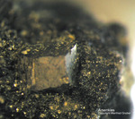 Mineralien Odenwald Erlenbach Arsenkies