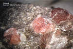 Mineralien Odenwald Erlenbach Granat