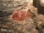 Mineralien Odenwald Erlenbach Granat