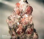 Mineralien Odenwald Erlenbach Granat